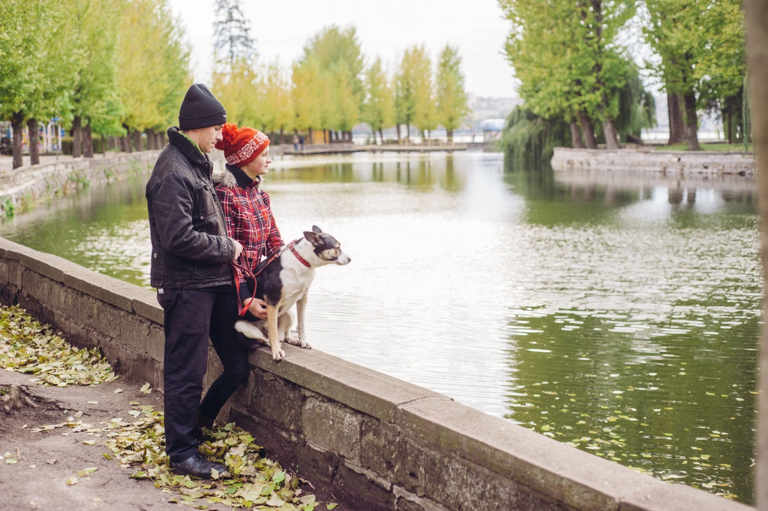 Best dog walks near Hythe — canal towpath, country park and coastal walks